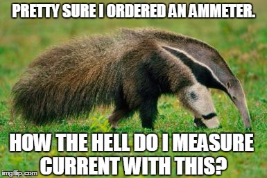 Ammeter Ordering Error | PRETTY SURE I ORDERED AN AMMETER. HOW THE HELL DO I MEASURE CURRENT WITH THIS? | image tagged in ammeter,anteater,ant eater,amazon,funny animals,cute animals | made w/ Imgflip meme maker