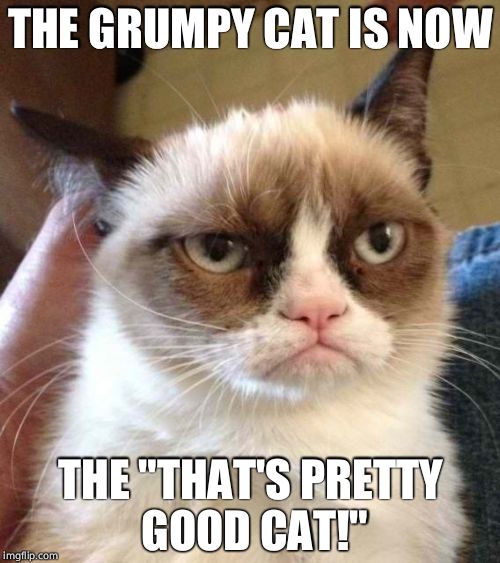 Grumpy Cat Reverse | THE GRUMPY CAT IS NOW; THE "THAT'S PRETTY GOOD CAT!" | image tagged in memes,grumpy cat reverse,grumpy cat | made w/ Imgflip meme maker