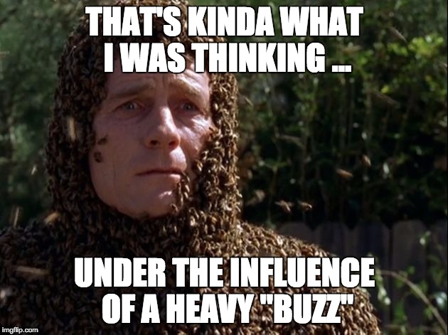 THAT'S KINDA WHAT I WAS THINKING ... UNDER THE INFLUENCE OF A HEAVY "BUZZ" | made w/ Imgflip meme maker