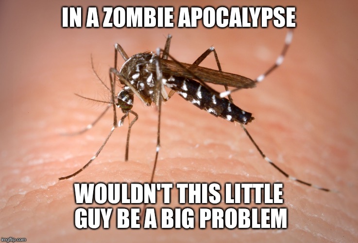 mosquito  | IN A ZOMBIE APOCALYPSE; WOULDN'T THIS LITTLE GUY BE A BIG PROBLEM | image tagged in mosquito | made w/ Imgflip meme maker