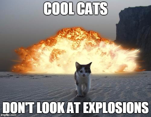 Every Action Movie Ever | COOL CATS; DON'T LOOK AT EXPLOSIONS | image tagged in cat explosion,tropes,cats,explosions,action,movies | made w/ Imgflip meme maker