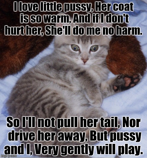 Cute_Thomas_Kitten | I love little pussy,
Her coat is so warm,
And if I don't hurt her,
She'll do me no harm. So I'll not pull her tail,
Nor drive her away,
But  | image tagged in cute_thomas_kitten | made w/ Imgflip meme maker