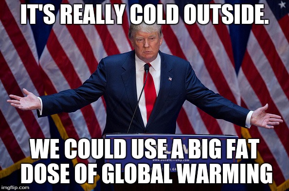 Donald Trump | IT'S REALLY COLD OUTSIDE. WE COULD USE A BIG FAT DOSE OF GLOBAL WARMING | image tagged in donald trump | made w/ Imgflip meme maker