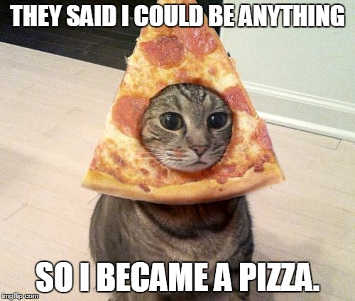 They said I could be anything.. so I became a pizza. | THEY SAID I COULD BE ANYTHING; SO I BECAME A PIZZA. | image tagged in pizza cat,kitty,cat,pizza,they said i could be anything,once again cats save the day | made w/ Imgflip meme maker
