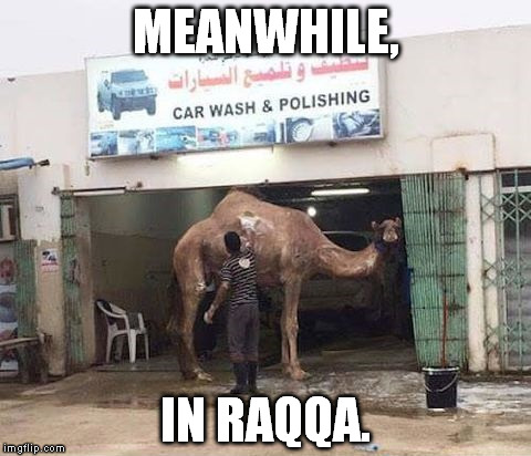 MEANWHILE, IN RAQQA. | image tagged in muslim,raqqa,carwash,camel,funny | made w/ Imgflip meme maker