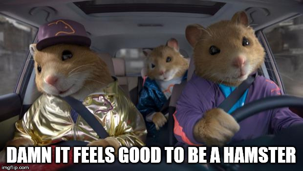 gangsta hamsta | DAMN IT FEELS GOOD TO BE A HAMSTER | image tagged in cool kia hamsters | made w/ Imgflip meme maker