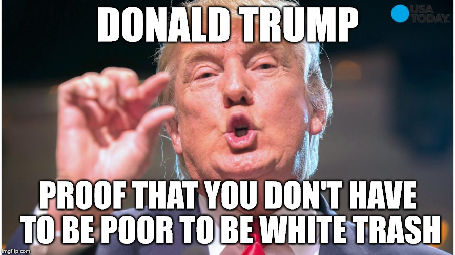 DONALD TRUMP; PROOF THAT YOU DON'T HAVE TO BE POOR TO BE WHITE TRASH | image tagged in trump 2016,donald trump,trump,fuck donald trump,trump sucks | made w/ Imgflip meme maker