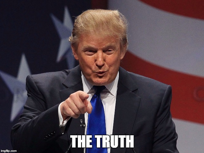 Donald Trump  | THE TRUTH | image tagged in donald trump | made w/ Imgflip meme maker