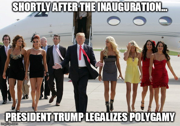Trump's new First ladies | SHORTLY AFTER THE INAUGURATION... PRESIDENT TRUMP LEGALIZES POLYGAMY | image tagged in donald trump | made w/ Imgflip meme maker