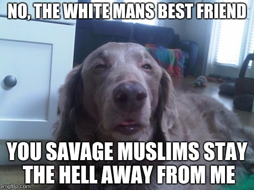 High Dog | NO, THE WHITE MANS BEST FRIEND; YOU SAVAGE MUSLIMS STAY THE HELL AWAY FROM ME | image tagged in memes,high dog | made w/ Imgflip meme maker