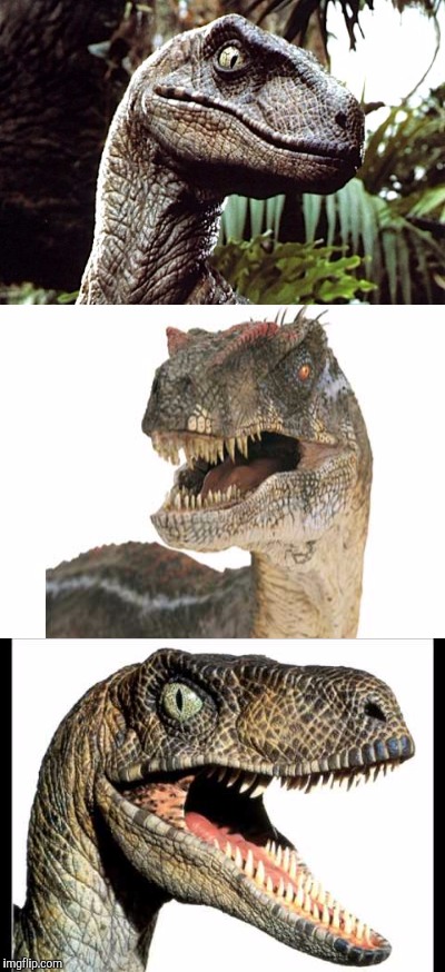 High Quality Bad Pun Velociraptor Blank Meme Template