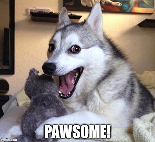 PAWSOME! | made w/ Imgflip meme maker