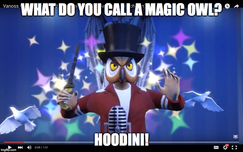Hoodini | WHAT DO YOU CALL A MAGIC OWL? HOODINI! | image tagged in memes,vanoss,youtube | made w/ Imgflip meme maker