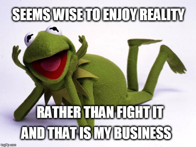 SEEMS WISE TO ENJOY REALITY AND THAT IS MY BUSINESS RATHER THAN FIGHT IT | made w/ Imgflip meme maker