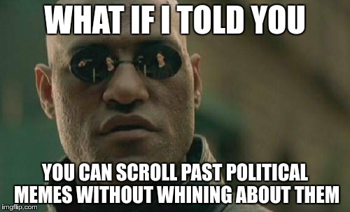 Matrix Morpheus | WHAT IF I TOLD YOU; YOU CAN SCROLL PAST POLITICAL MEMES WITHOUT WHINING ABOUT THEM | image tagged in memes,matrix morpheus | made w/ Imgflip meme maker