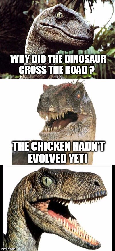 Bad Pun Velociraptor | WHY DID THE DINOSAUR CROSS THE ROAD ? THE CHICKEN HADN'T EVOLVED YET! | image tagged in bad pun velociraptor | made w/ Imgflip meme maker