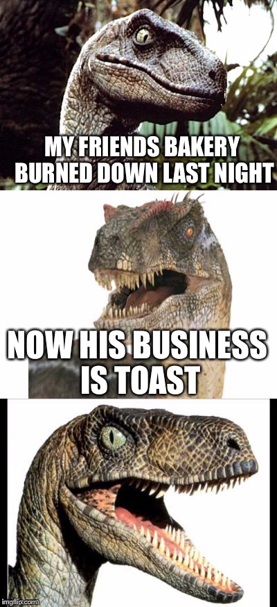 Bad Pun Velociraptor | MY FRIENDS BAKERY BURNED DOWN LAST NIGHT; NOW HIS BUSINESS IS TOAST | image tagged in bad pun velociraptor,memes | made w/ Imgflip meme maker