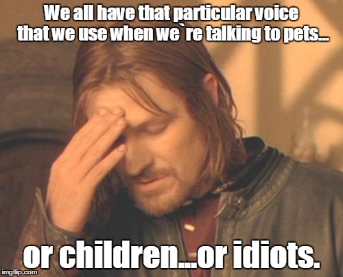 Frustrated Boromir Meme | We all have that particular voice that we use when we`re talking to pets... or children...or idiots. | image tagged in memes,frustrated boromir | made w/ Imgflip meme maker