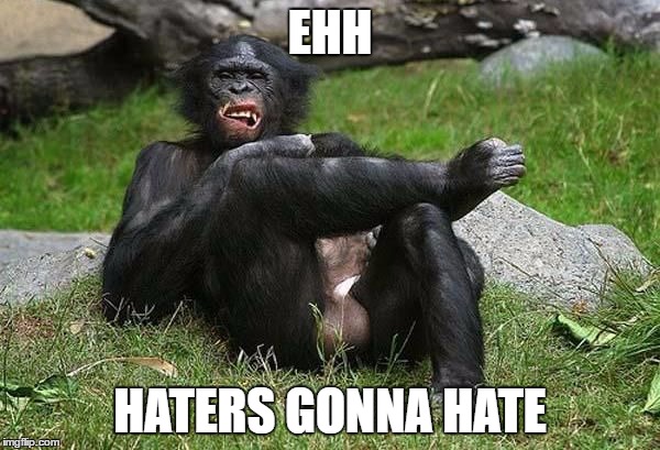 Haters gonna hate | EHH; HATERS GONNA HATE | image tagged in haters gonna hate,gorilla | made w/ Imgflip meme maker