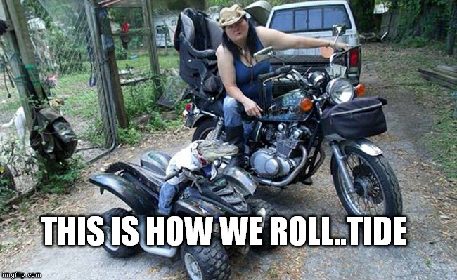 atv gator | THIS IS HOW WE ROLL..TIDE | image tagged in atv gator,roll tide,how | made w/ Imgflip meme maker
