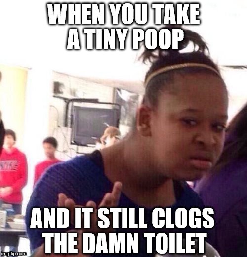 Black Girl Wat Meme | WHEN YOU TAKE A TINY POOP; AND IT STILL CLOGS THE DAMN TOILET | image tagged in memes,black girl wat | made w/ Imgflip meme maker