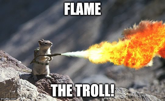 FLAME THE TROLL! | made w/ Imgflip meme maker
