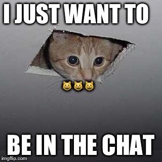 Ceiling Cat Meme | I JUST WANT TO; 😺😺😺; BE IN THE CHAT | image tagged in memes,ceiling cat | made w/ Imgflip meme maker