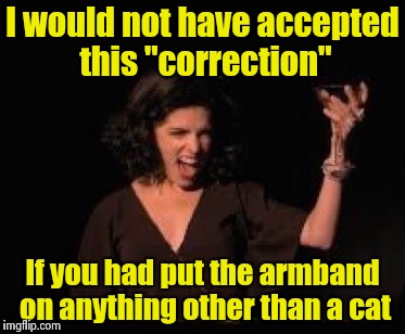 Anna Kendrick Cheers | I would not have accepted this "correction" If you had put the armband on anything other than a cat | image tagged in anna kendrick cheers | made w/ Imgflip meme maker