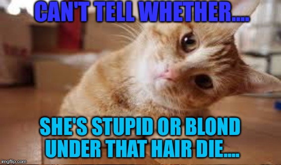 Stupid blond or whattttt | CAN'T TELL WHETHER.... SHE'S STUPID OR BLOND UNDER THAT HAIR DIE.... | image tagged in can't,tell me | made w/ Imgflip meme maker