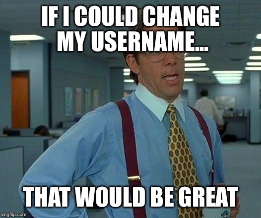 That Would Be Great Meme | IF I COULD CHANGE MY USERNAME... THAT WOULD BE GREAT | image tagged in memes,that would be great | made w/ Imgflip meme maker