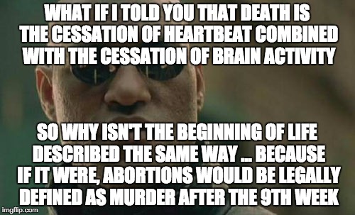 Matrix Morpheus Meme | WHAT IF I TOLD YOU THAT DEATH IS THE CESSATION OF HEARTBEAT COMBINED WITH THE CESSATION OF BRAIN ACTIVITY SO WHY ISN'T THE BEGINNING OF LIFE | image tagged in memes,matrix morpheus | made w/ Imgflip meme maker