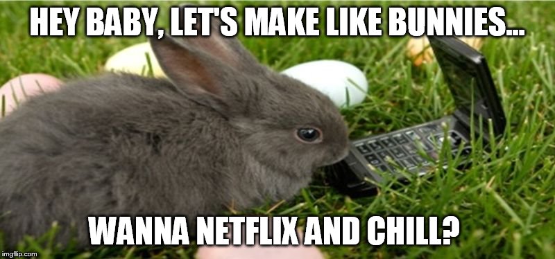 Fuckin like bunnies