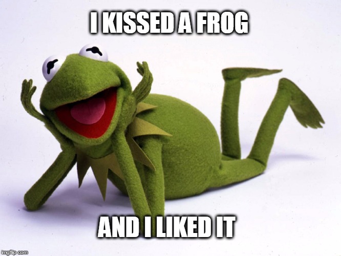 Kermie Kerm | I KISSED A FROG; AND I LIKED IT | image tagged in kermit the frog,music,disney,katy perry,princess bride,what if i told you | made w/ Imgflip meme maker