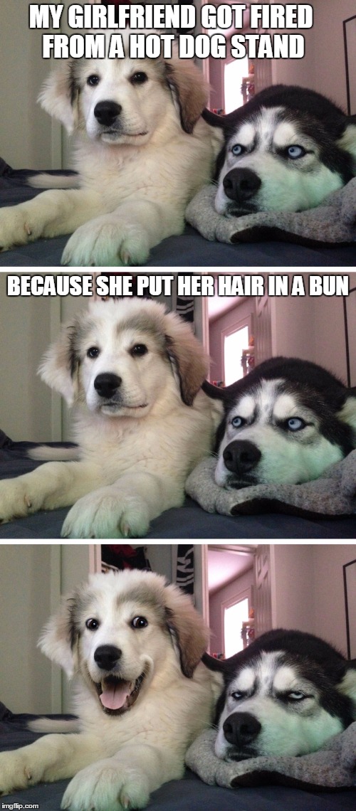 Bad pun dogs | MY GIRLFRIEND GOT FIRED FROM A HOT DOG STAND; BECAUSE SHE PUT HER HAIR IN A BUN | image tagged in bad pun dogs,crappy memes,hot dog,puns,bad pun | made w/ Imgflip meme maker