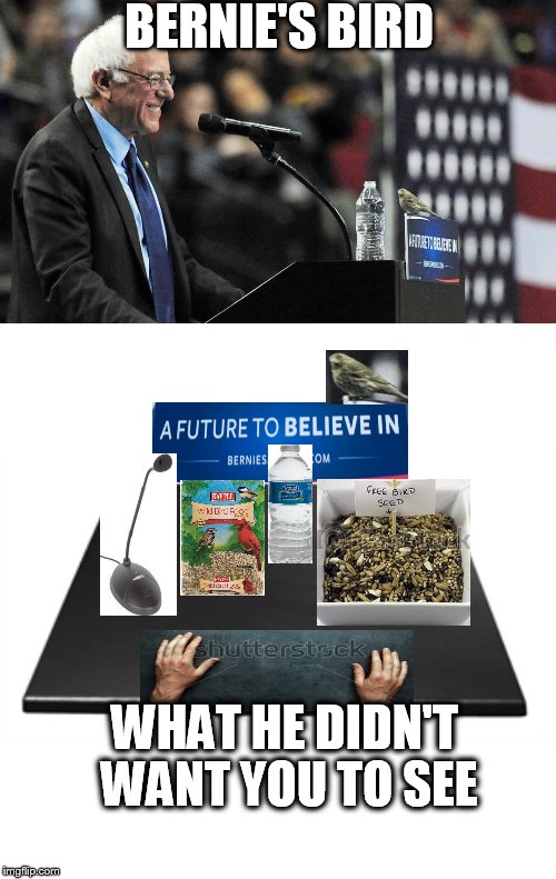 Free Bird Seed | BERNIE'S BIRD; WHAT HE DIDN'T WANT YOU TO SEE | image tagged in bird,politics | made w/ Imgflip meme maker