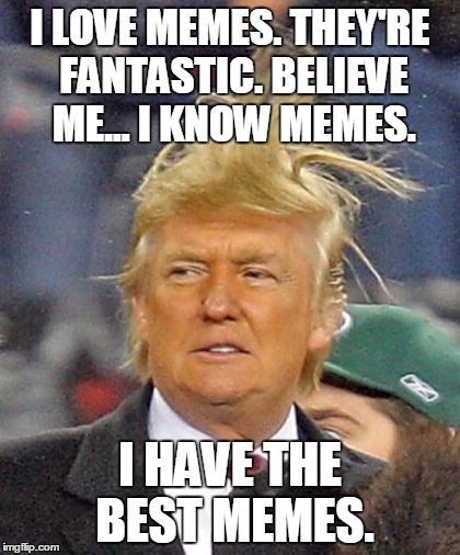 Trump Has The Best Memes | I LOVE MEMES. THEY'RE FANTASTIC. BELIEVE ME... I KNOW MEMES. I HAVE THE BEST MEMES. | image tagged in trump hair | made w/ Imgflip meme maker