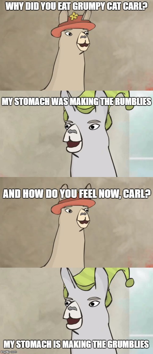 My tummy was making the rumblies | WHY DID YOU EAT GRUMPY CAT CARL? MY STOMACH WAS MAKING THE RUMBLIES; AND HOW DO YOU FEEL NOW, CARL? MY STOMACH IS MAKING THE GRUMBLIES | image tagged in carl,llama,hats | made w/ Imgflip meme maker