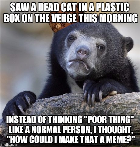 Confession Bear | SAW A DEAD CAT IN A PLASTIC BOX ON THE VERGE THIS MORNING; INSTEAD OF THINKING "POOR THING" LIKE A NORMAL PERSON, I THOUGHT, "HOW COULD I MAKE THAT A MEME?" | image tagged in memes,confession bear,scumbag | made w/ Imgflip meme maker