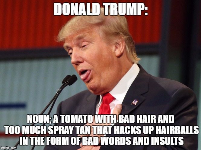 Donald Trump: Definition | DONALD TRUMP:; NOUN; A TOMATO WITH BAD HAIR AND TOO MUCH SPRAY TAN THAT HACKS UP HAIRBALLS IN THE FORM OF BAD WORDS AND INSULTS | image tagged in donald trump,trump,define,eww,no | made w/ Imgflip meme maker