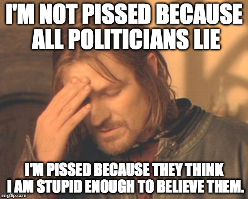 Frustrated Boromir Meme | I'M NOT PISSED BECAUSE ALL POLITICIANS LIE; I'M PISSED BECAUSE THEY THINK I AM STUPID ENOUGH TO BELIEVE THEM. | image tagged in memes,frustrated boromir | made w/ Imgflip meme maker