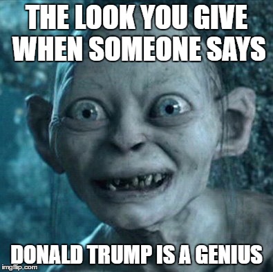 Gollum Meme | THE LOOK YOU GIVE WHEN SOMEONE SAYS; DONALD TRUMP IS A GENIUS | image tagged in memes,gollum | made w/ Imgflip meme maker