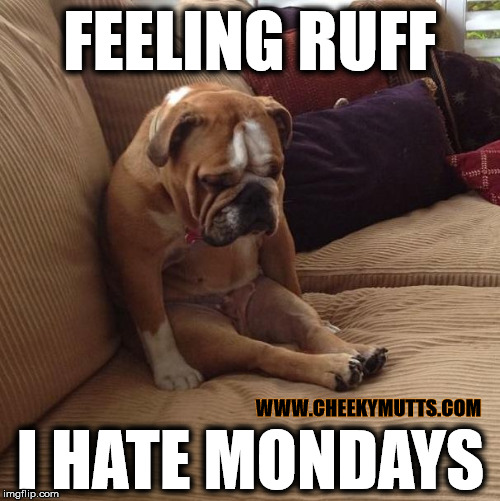 Feeling Ruff | FEELING RUFF; WWW.CHEEKYMUTTS.COM; I HATE MONDAYS | image tagged in dogs,monday blues,bulldogs,mutts,after the weekend,funny dogs | made w/ Imgflip meme maker