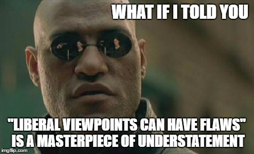 Matrix Morpheus Meme | WHAT IF I TOLD YOU "LIBERAL VIEWPOINTS CAN HAVE FLAWS" IS A MASTERPIECE OF UNDERSTATEMENT | image tagged in memes,matrix morpheus | made w/ Imgflip meme maker