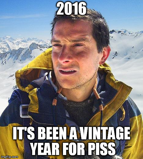 Bear Grylls | 2016; IT'S BEEN A VINTAGE YEAR FOR PISS | image tagged in memes,bear grylls | made w/ Imgflip meme maker