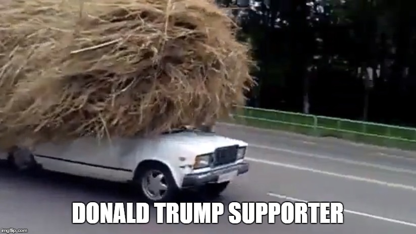Donald Trump supporter | DONALD TRUMP SUPPORTER | image tagged in donald trump,president 2016,presidential race,trump 2016,donald trumph hair | made w/ Imgflip meme maker