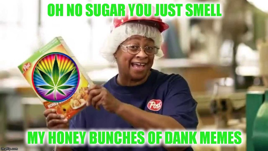 Don't eat me now... | OH NO SUGAR YOU JUST SMELL; MY HONEY BUNCHES OF DANK MEMES | image tagged in honey boo boo,dank | made w/ Imgflip meme maker