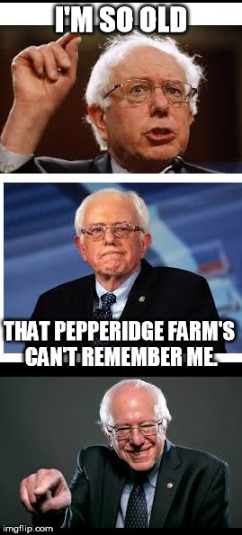 Bad Pun Bernie 2 | I'M SO OLD; THAT PEPPERIDGE FARM'S CAN'T REMEMBER ME. | image tagged in badpunbernie,pepperidge farms remembers,funny,old | made w/ Imgflip meme maker