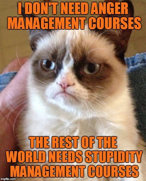 Grumpy Cat speaks the truth | I DON'T NEED ANGER MANAGEMENT COURSES; THE REST OF THE WORLD NEEDS STUPIDITY MANAGEMENT COURSES | image tagged in memes,grumpy cat,anger management | made w/ Imgflip meme maker