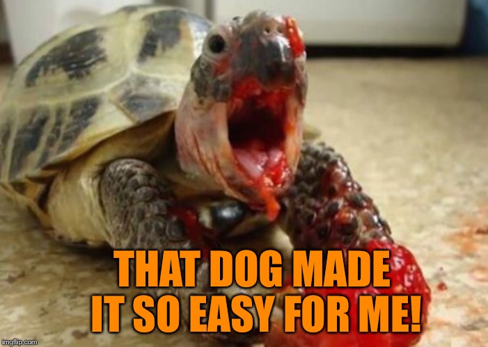 THAT DOG MADE IT SO EASY FOR ME! | made w/ Imgflip meme maker