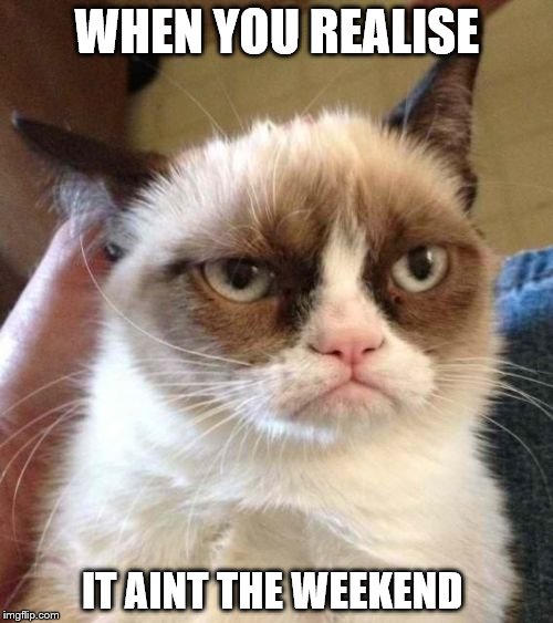 Grumpy Cat Reverse | WHEN YOU REALISE; IT AINT THE WEEKEND | image tagged in memes,grumpy cat reverse,grumpy cat | made w/ Imgflip meme maker